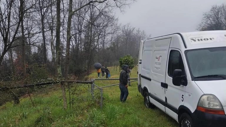 Lancio di sassi e legni Aggredito alle Cerbaie il presidente Nicoletta Lancio di sassi e legni Aggredito alle Cerbaie il presidente Nicoletta