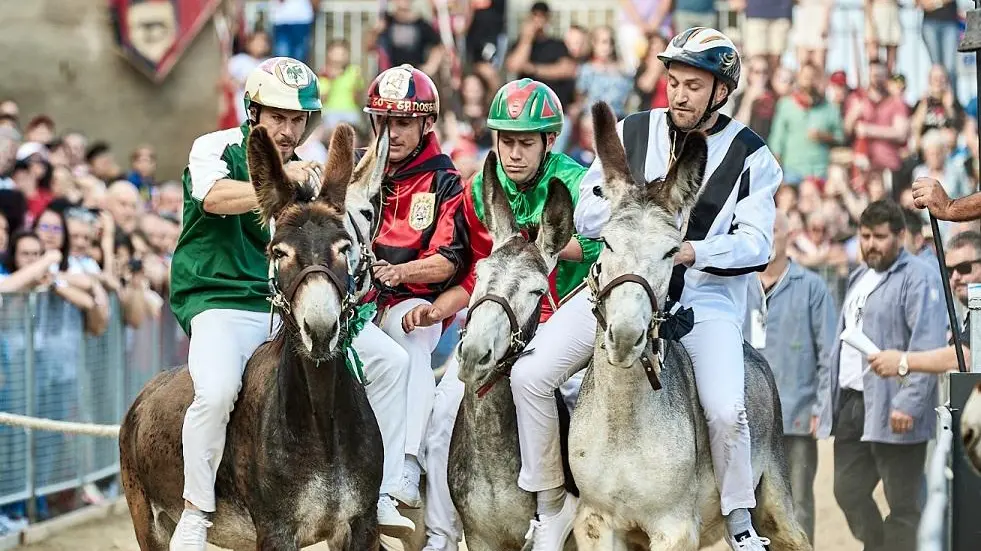 Palio dei somari, il giorno della sfida Tre fantini già vittoriosi oggi in gara Palio dei somari, il giorno della sfida Tre fantini già vittoriosi oggi in gara