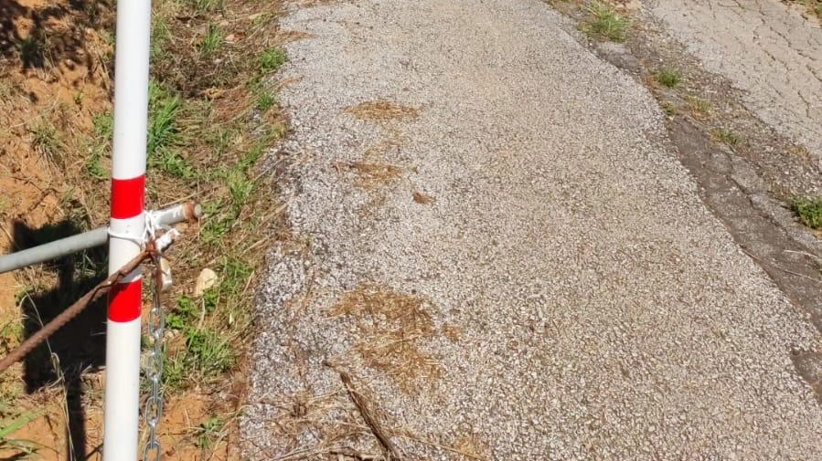 Sbarra lungo la strada Insorge tutto il vicinato "No alla privatizzazione" Sbarra lungo la strada Insorge tutto il vicinato "No alla privatizzazione"