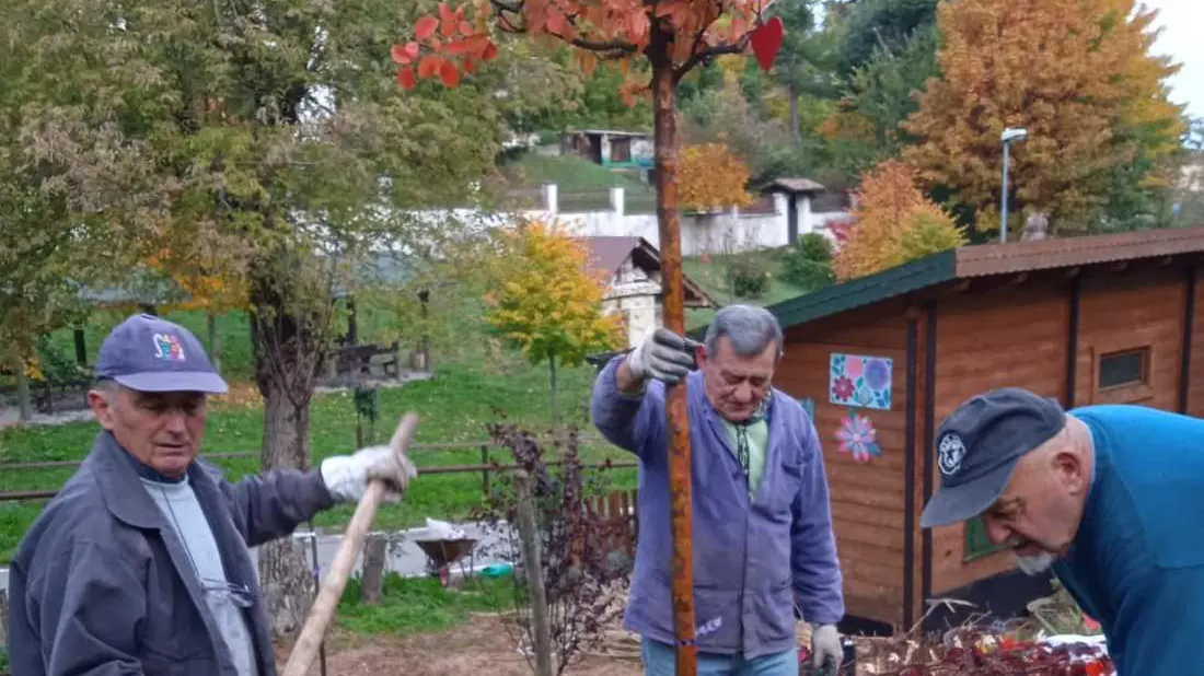 Territorio più verde, saranno piantati 300 alberi entro l’autunno Territorio più verde, saranno piantati 300 alberi entro l’autunno