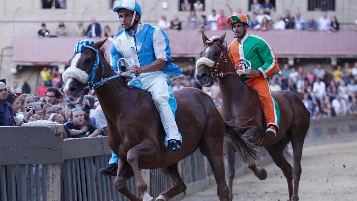 Palio di Siena, the first trial (picture by Paolo Lazzeroni)
