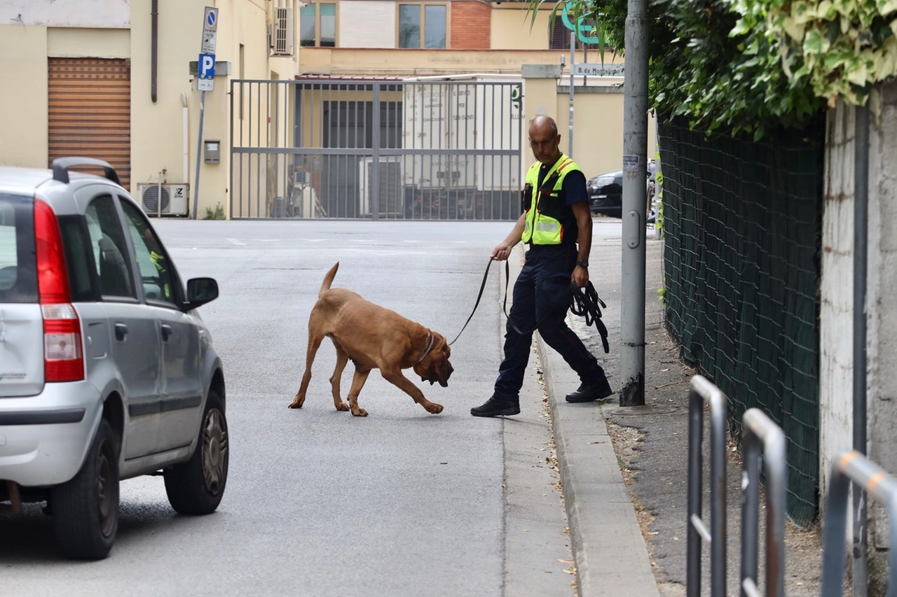 immagine di sfondo 4