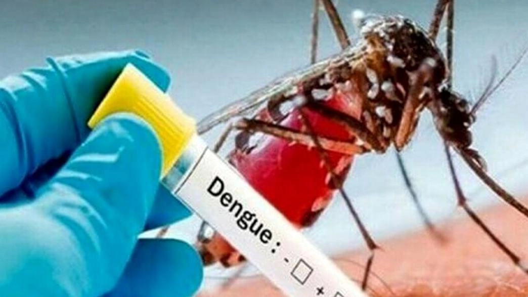 Dengue, un caso a Pisa Dengue, un caso a Pisa