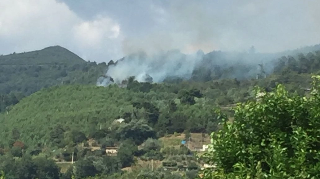 La foto dell'incendio a Seravezza (dal tweet della Protezione civile)