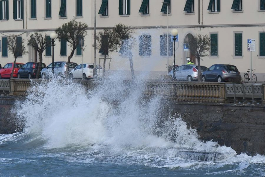 immagine di sfondo 3