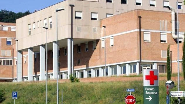 Numero verde per le persone fragili Nuovo servizio al Pronto soccorso Numero verde per le persone fragili Nuovo servizio al Pronto soccorso