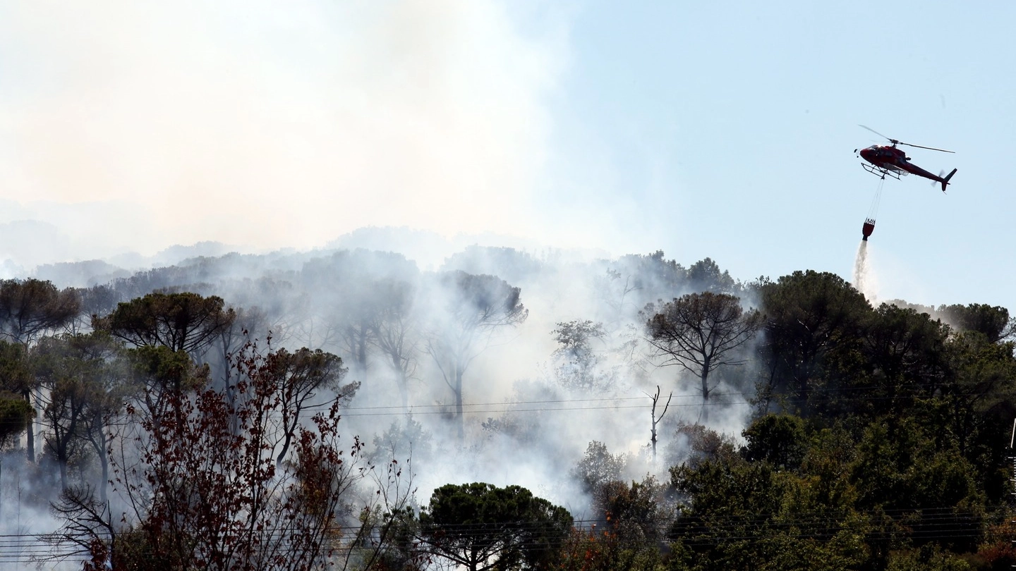 L'incendio sulle colline di Scandicci (Fotocronache Germogli)