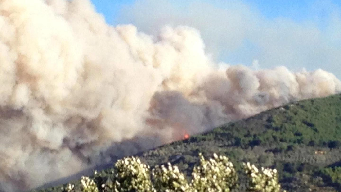 Il vasto incendio a Calci la mattina del 25 settembre (Ansa)