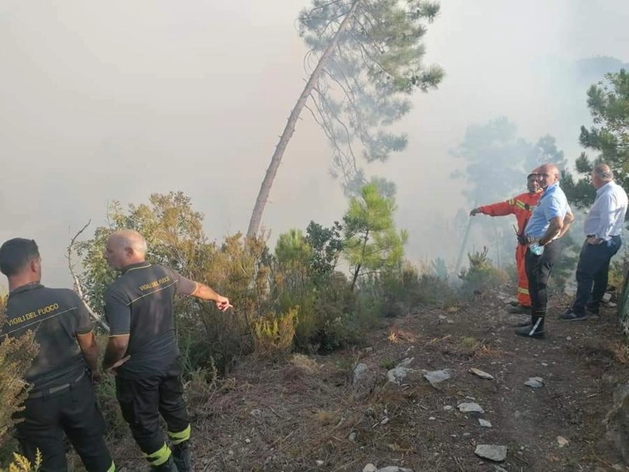 immagine di sfondo 14