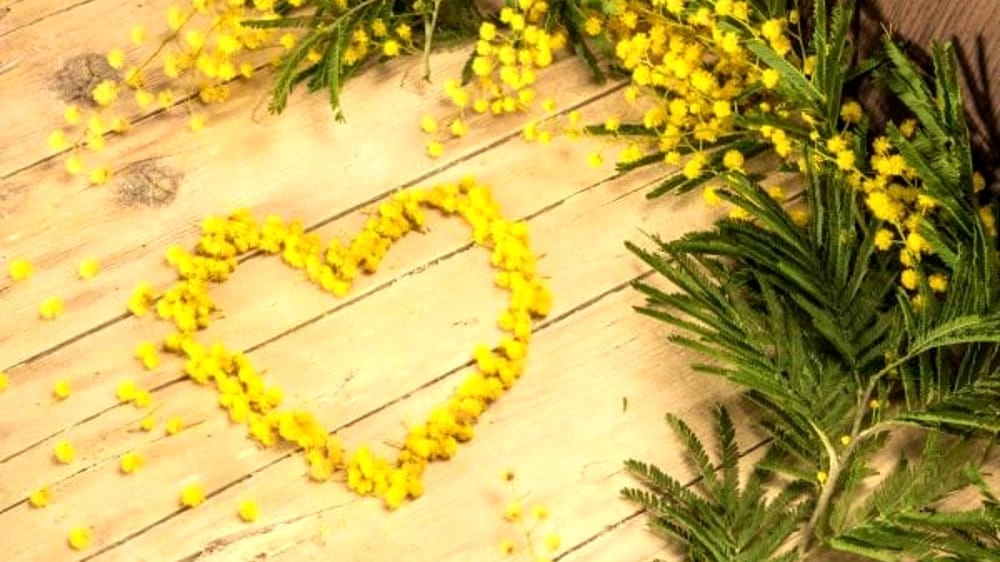 La festa della donna La festa della donna