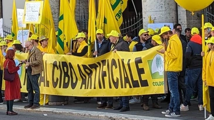 Legge contro il cibo sintetico: "Una vittoria importante ottenuta grazie a Coldiretti" Legge contro il cibo sintetico: "Una vittoria importante ottenuta grazie a Coldiretti"