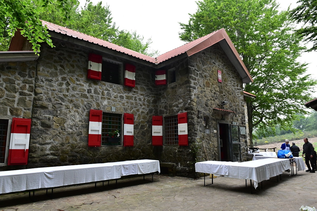 immagine di sfondo 13