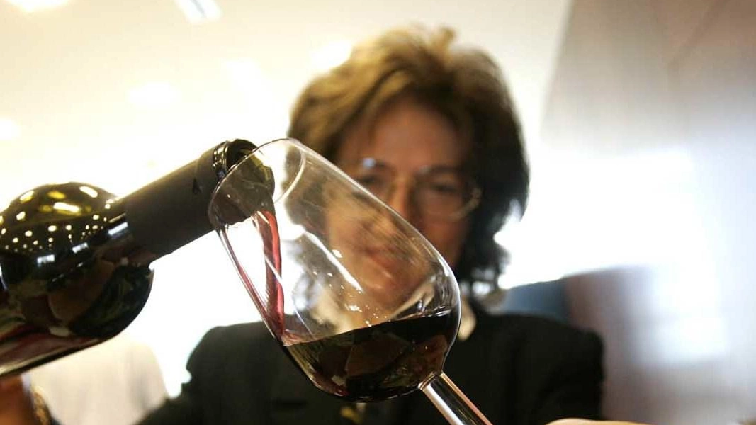 Cantine aperte per degustazioni, visite e passeggiate tra le vigne Cantine aperte per degustazioni, visite e passeggiate tra le vigne
