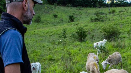 "Voglio fare il pastore" Quasi 200 candidati tra manager e chirurghi E c’è chi arriva dagli Usa "Voglio fare il pastore" Quasi 200 candidati tra manager e chirurghi E c’è chi arriva dagli Usa