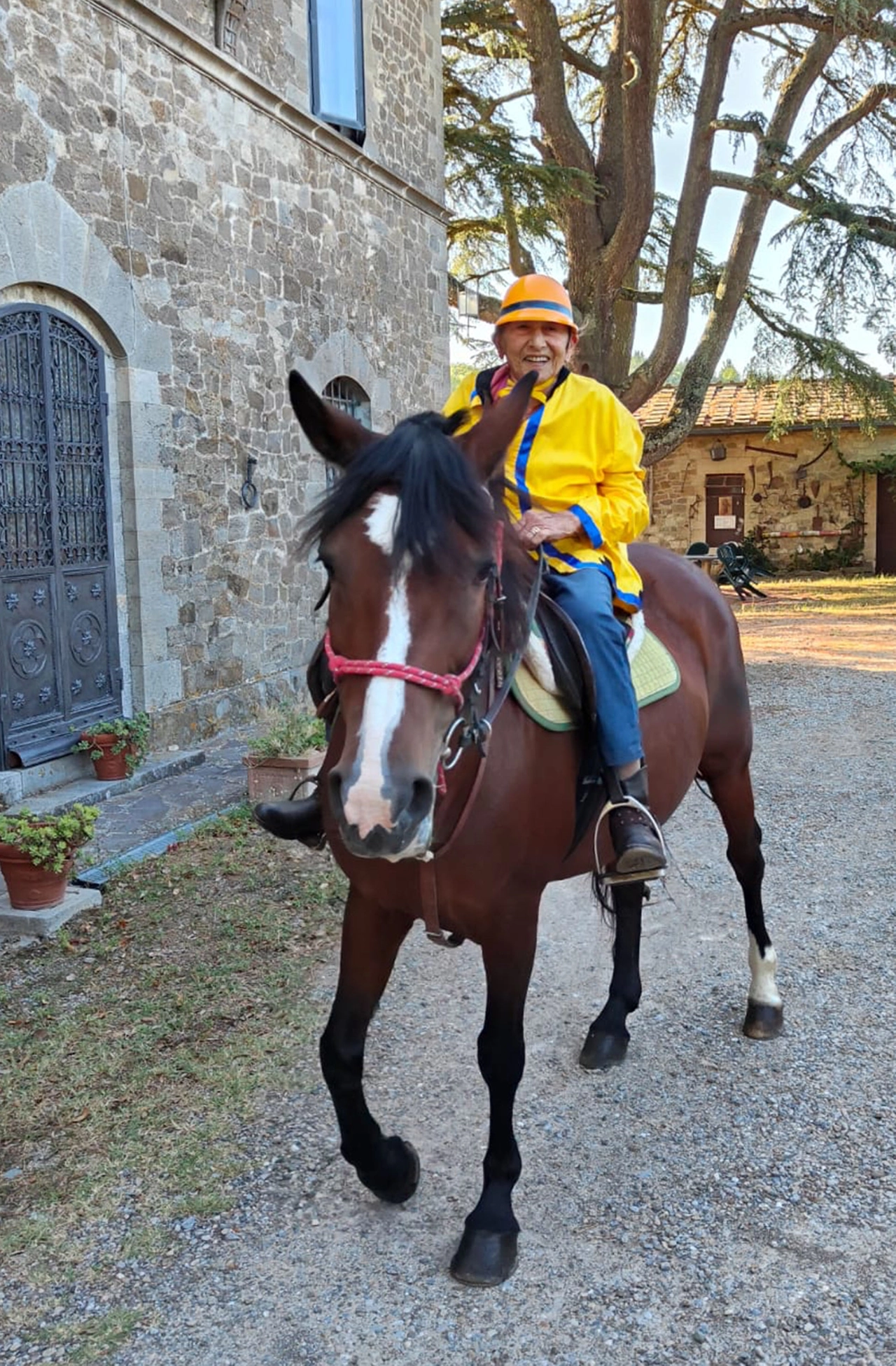 immagine di sfondo 2