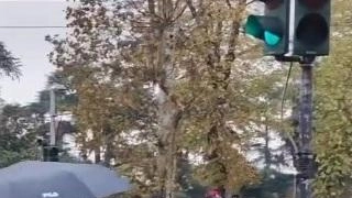 Rapinati lungo la tramvia, caccia alla banda con i bastoni Rapinati lungo la tramvia, caccia alla banda con i bastoni