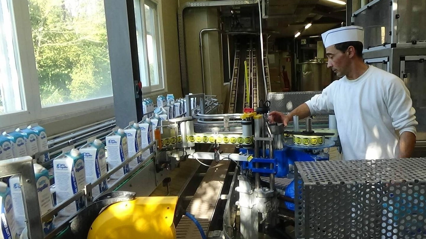 Allevatori in difficoltà per l’aumento di energia e mangimi