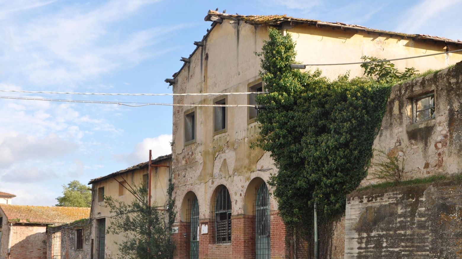 Ulivieri: "Nell’ex Consorzio agrario nascerà l’innovativo Mag" Ulivieri: "Nell’ex Consorzio agrario nascerà l’innovativo Mag"