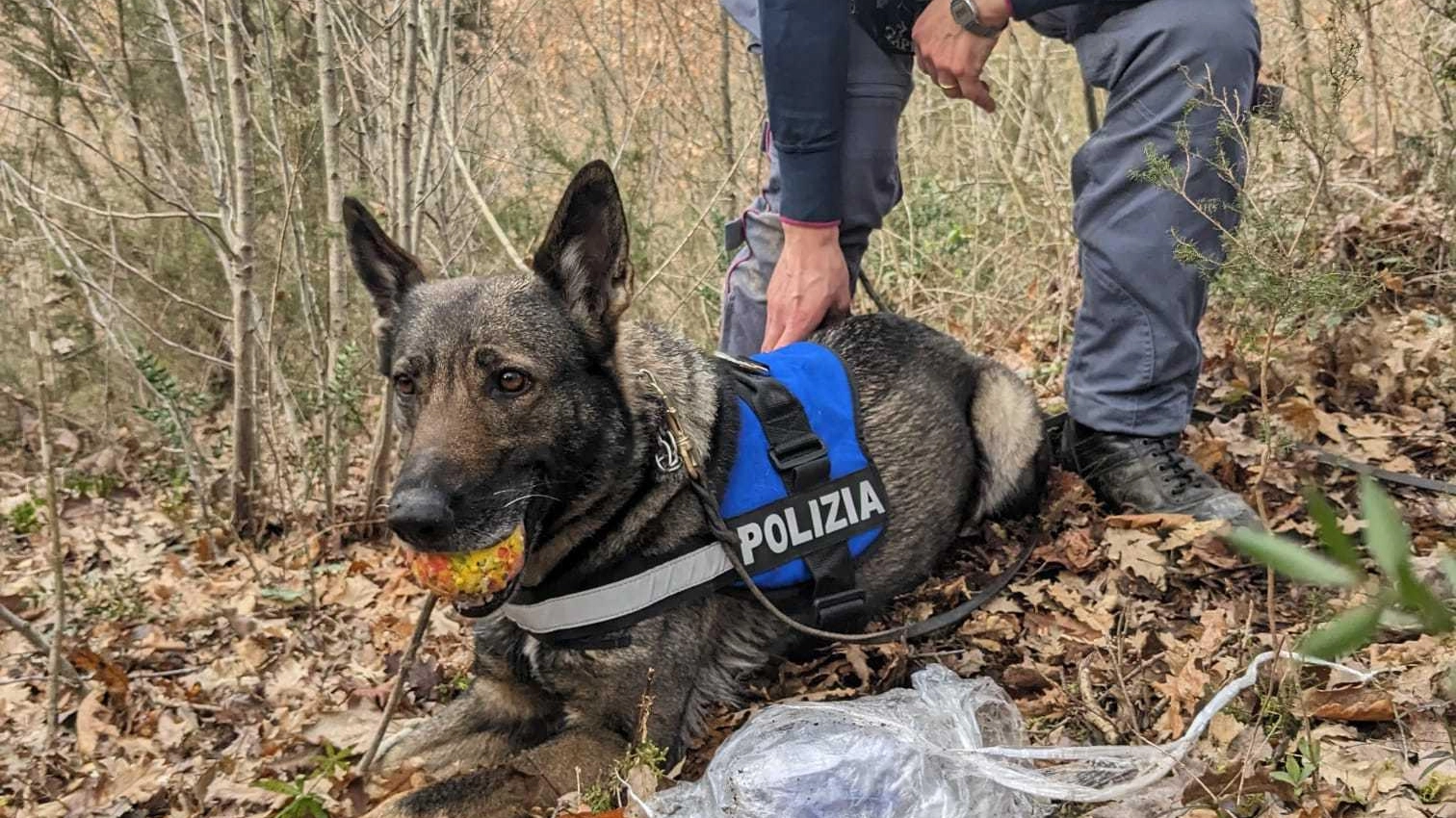 Tra droga e disperazione Compra la dose dai pusher insieme alla madre Tra droga e disperazione Compra la dose dai pusher insieme alla madre