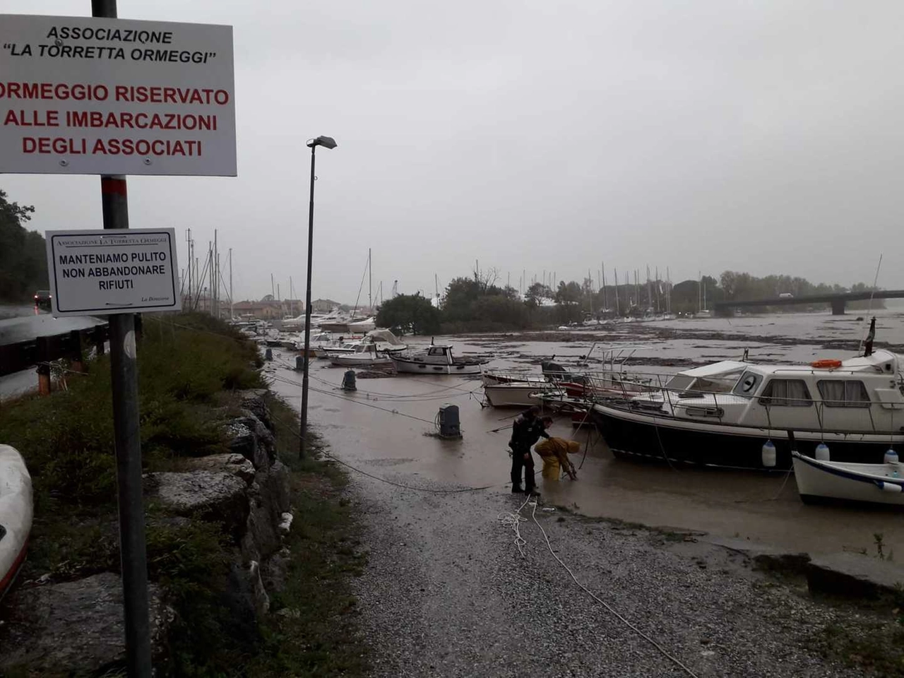 immagine di sfondo 14