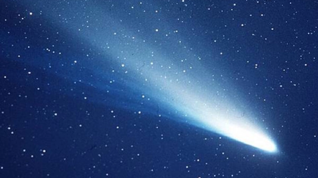 Una cometa (foto Ansa)  