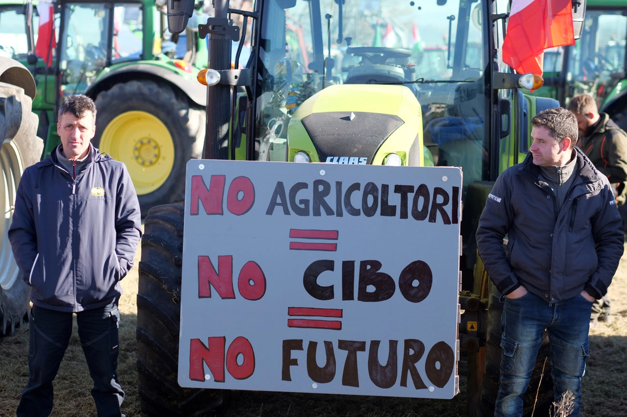 immagine di sfondo 11