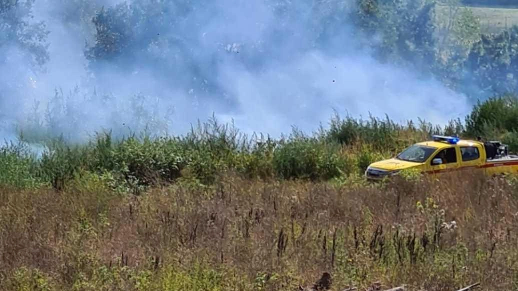 Fiamme sui binari dell'Alta Velocità a Arezzo: Treni in tilt e ritardi per i viaggiatori
Fiamme sui binari dell'Alta Velocità a Arezzo: Treni in tilt e ritardi per i viaggiatori
