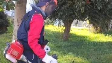 Due aziende private “adottano” alcune aree verdi comunali Due aziende private “adottano” alcune aree verdi comunali