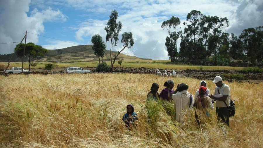 Il lavoro sul campo in Etiopia - Ufficio stampa Scuola Superiore Sant'Anna