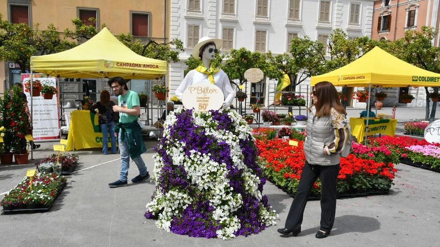 Piante e fiori dominano i mercatini di maggio (foto Nizza)