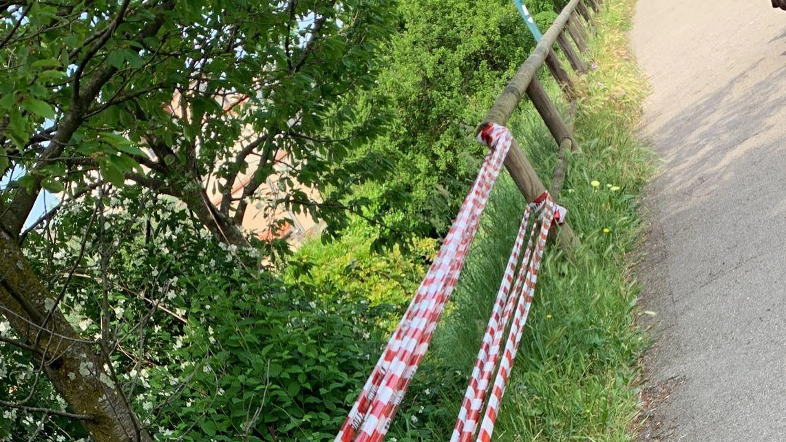 Ciclabile, poca manutenzione Staccionata rotta in più punti E pavimentazione sconnessa Ciclabile, poca manutenzione Staccionata rotta in più punti E pavimentazione sconnessa