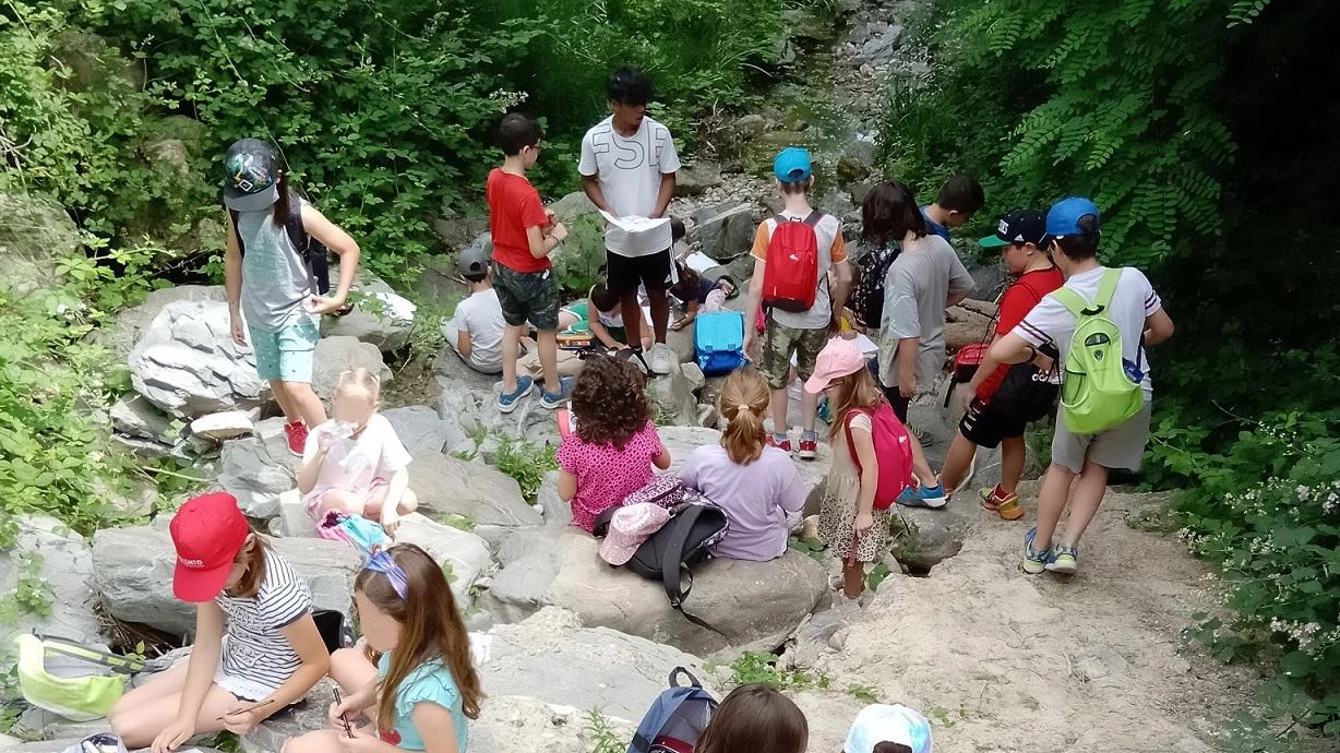 Centri estivi, tra sport e giochi per i piccoli: ultimi giorni per iscriversi Centri estivi, tra sport e giochi per i piccoli: ultimi giorni per iscriversi