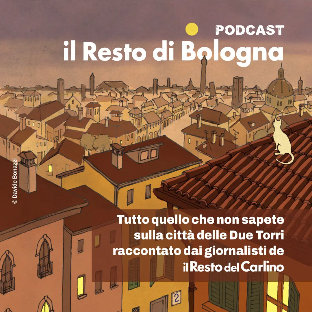 Il fungo eclettico di Santa Viola