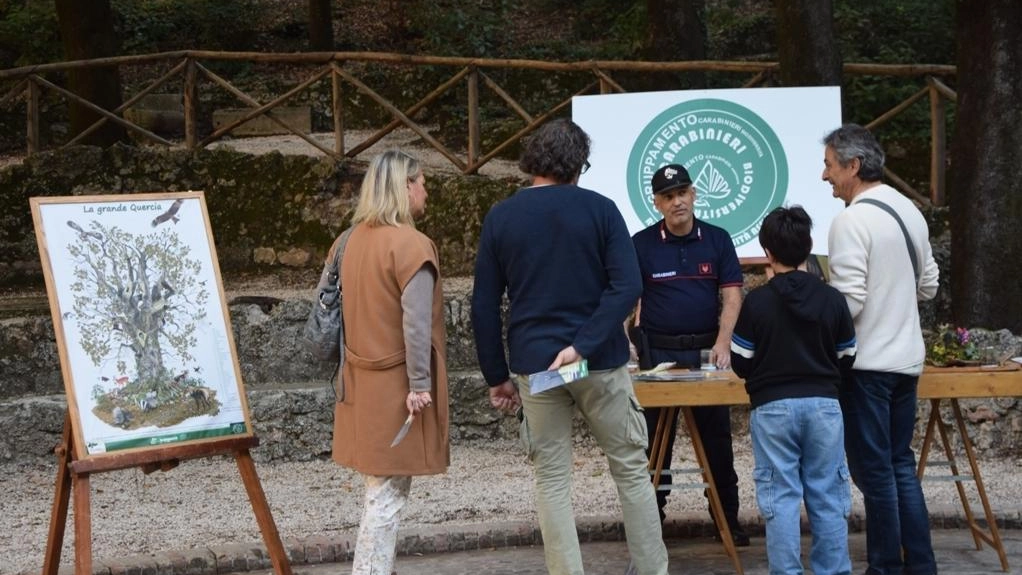 Alla scoperta del ’Pincio’. Attività per vivere il parco Alla scoperta del ’Pincio’. Attività per vivere il parco