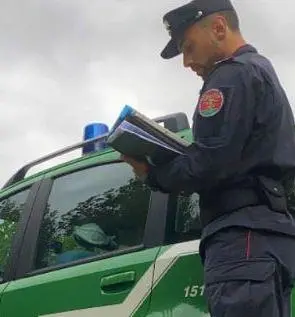 Gestione illecita di rifiuti. Dopo il controllo, le denunce. In tre sono finiti nei guai