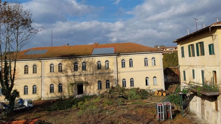 Gruppo di residenti di San Martino insorge: "Da due settimane vediamo le motoseghe al lavoro. Un bosco di 70 piante sparito, erano tutte malate?"