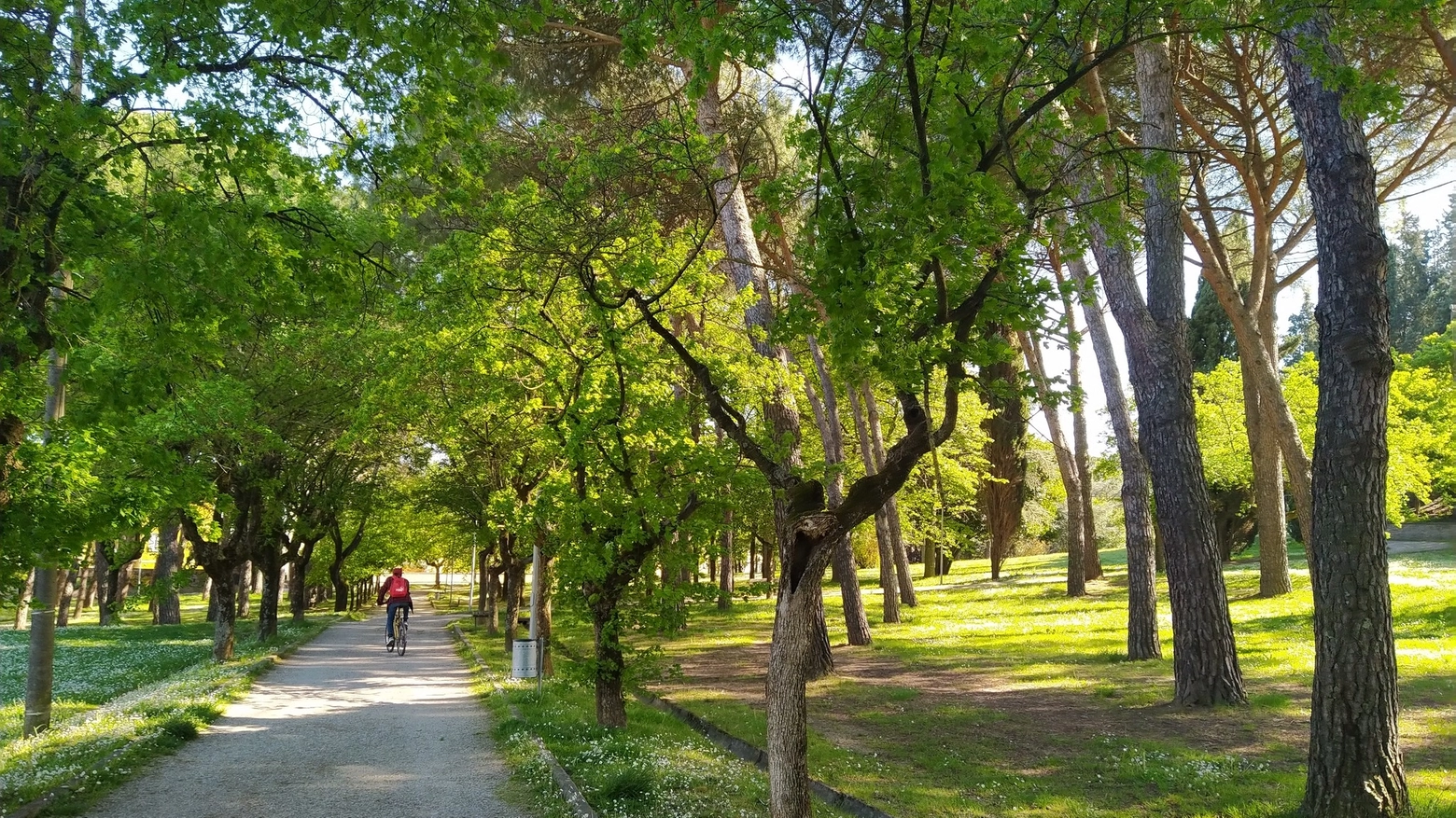 Parco Pionta Parco Pionta