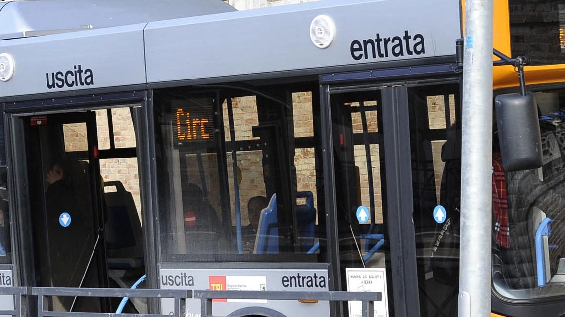 Calci e pugni all’autista. Condannata Calci e pugni all’autista. Condannata