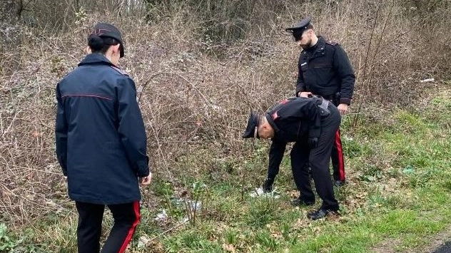 Una nuova operazione anti droga in zona Cerbaie, condotta dai carabinieri con l’ausilio di reparti speciali