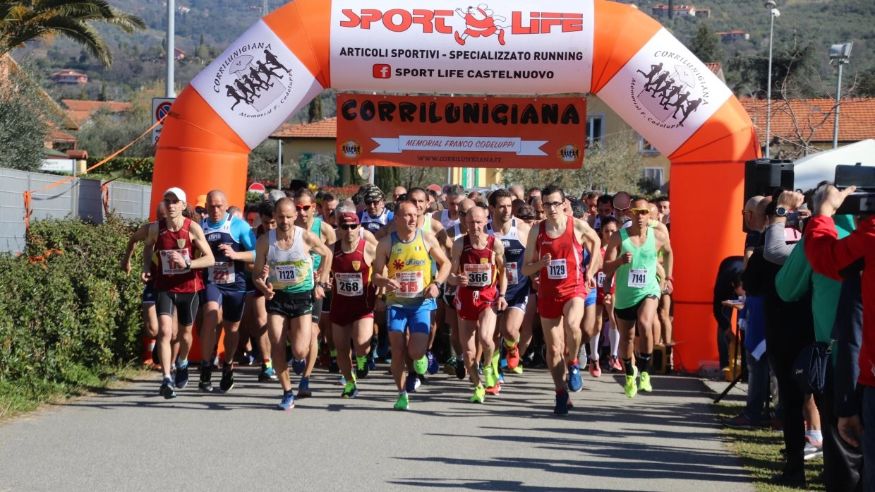 Podismo, foto e classifica del trofeo Pro Avis