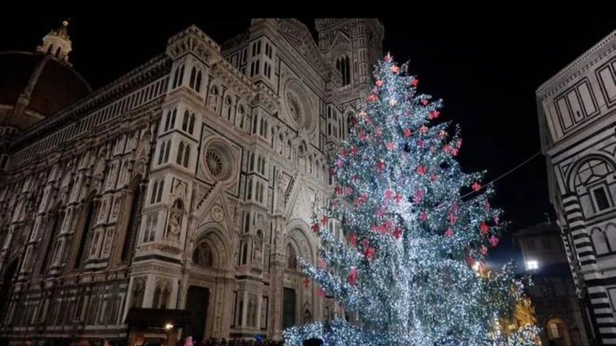 Firenze, l'albero di Natale in piazza Duomo (immagine di repertorio)