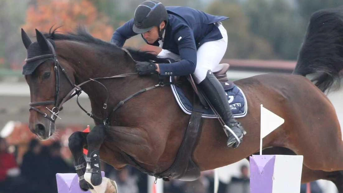 Salto ostacoli, Datena in vetrina. L’ennesimo spettacolo a San Zeno Salto ostacoli, Datena in vetrina. L’ennesimo spettacolo a San Zeno