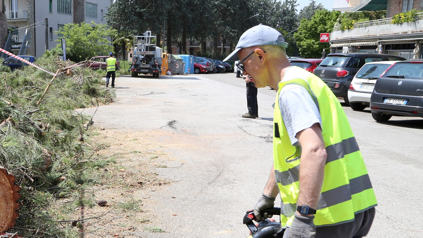 TUTTI ALL’OPERA Previste agevolazioni a chi pulisce aree verdi e strade