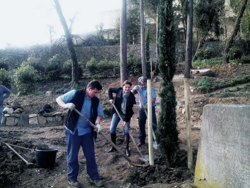 Piantati i nuovi alberi nel Boschetto Lapi, al piazzale Michelangelo