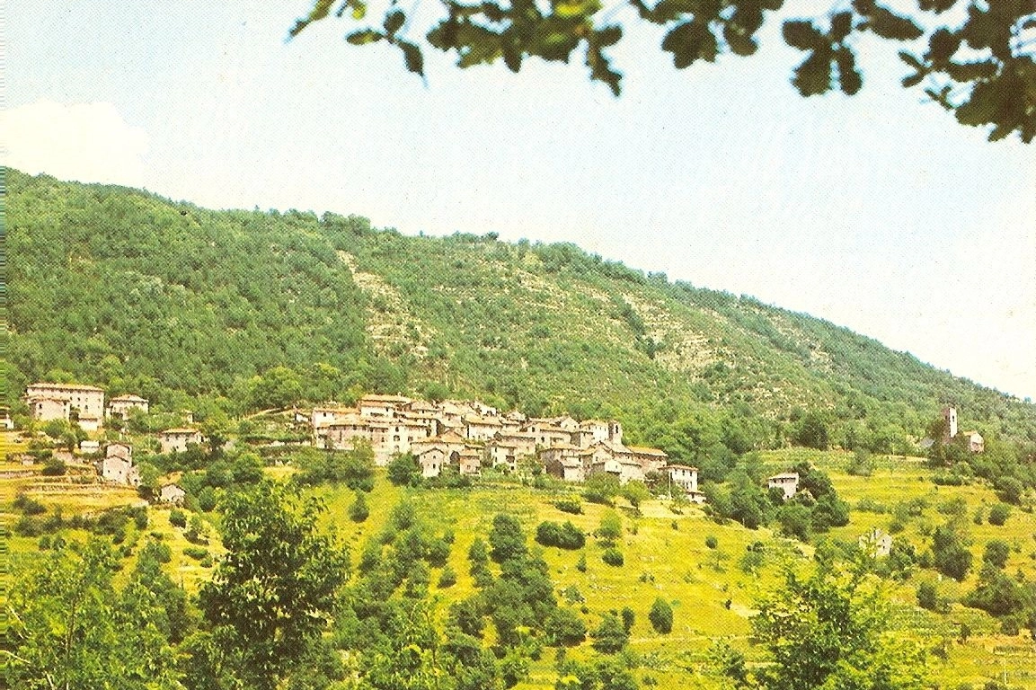 Il panorama di Vallico sopra