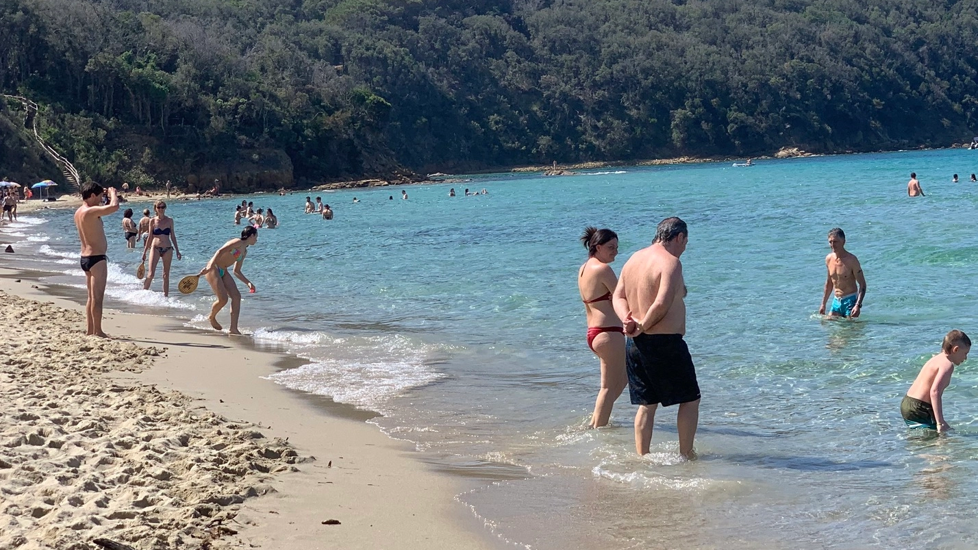 <p>Cala Violina: numero chiuso sulla spiaggia da sogno: ancora accessi controllati</p>