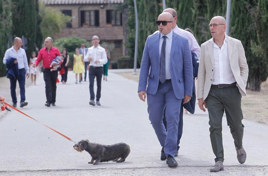 immagine di sfondo 29