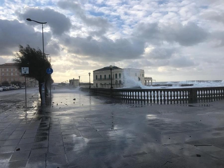 immagine di sfondo 2