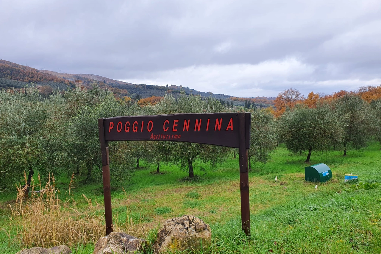 L'agriturismo di Paolo Rossi