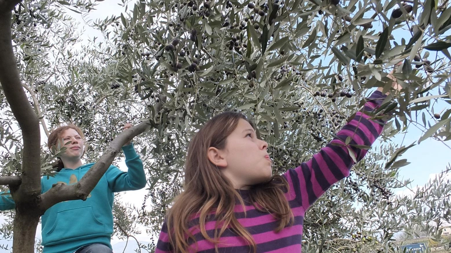 Pasqua dolce negli agriturismi  La stagione parte con il botto  Taddei (Cia): "Presenze in crescita"